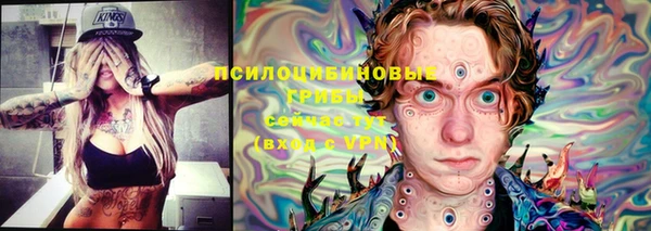 альфа пвп Белокуриха