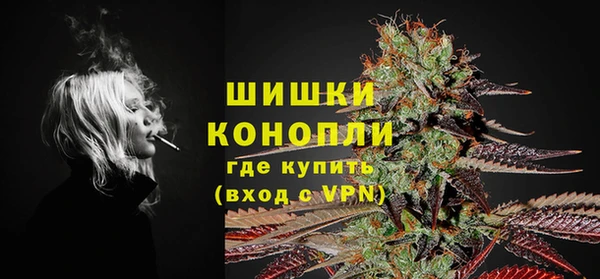 прущие грибы Белоозёрский