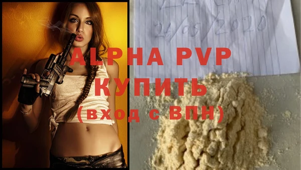 прущие грибы Белоозёрский