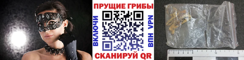 Псилоцибиновые грибы Magic Shrooms Дмитров
